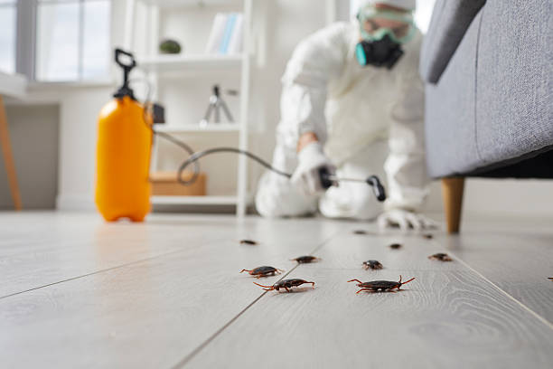 Commercial Kitchen Cockroach Control in Mitchellville